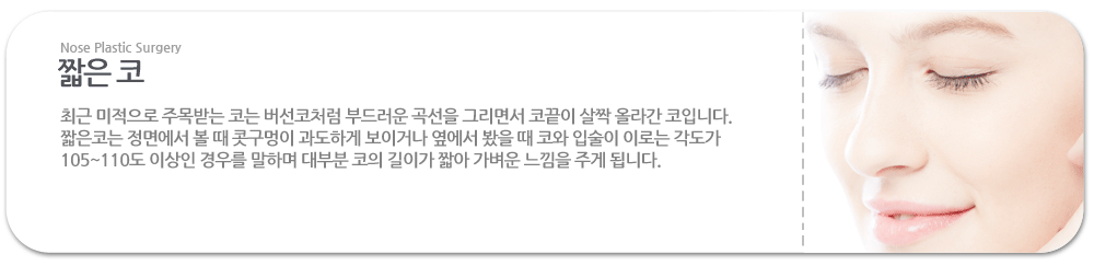 짧은 코:최근 미적으로 주목받는 코는 버선코처럼 부드러운 곡선을 그리면서 코끝이 살짝 올라간 코입니다. 짧은코는 정면에서 볼 때 콧구멍이 과도하게 보이거나 옆에서 봤을 때 코와 입술이 이로는 각도가 105~110도 이상인 경우를 말하며 대부분 코의 길이가 짧아 가벼운 느낌을 주게 됩니다.