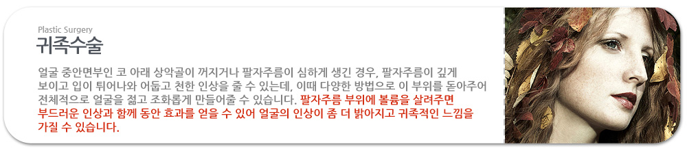 귀족수술
얼굴 중안면부인 코 아래 상악골이 꺼지거나 팔자주름이 심하게 생긴 경우, 팔자주름이 깊게 보이고 입이 튀어나와 어둡고 천한 인상을 줄 수 있는데, 이때 다양한 방법으로 이 부위를 돋아주어 전체적으로 얼굴을 젊고 조화롭게 만들어줄 수 있습니다. 팔자주름 부위에 볼륨을 살려주면 부드러운 인상과 함께 동안 효과를 얻을 수 있어 얼굴의 인상이 좀 더 밝아지고 귀족적인 느낌을 가질 수 있습니다. 