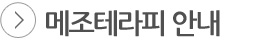 메조테라피 안내